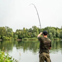 Daiwa Emblem XT X45 Carp Rods
